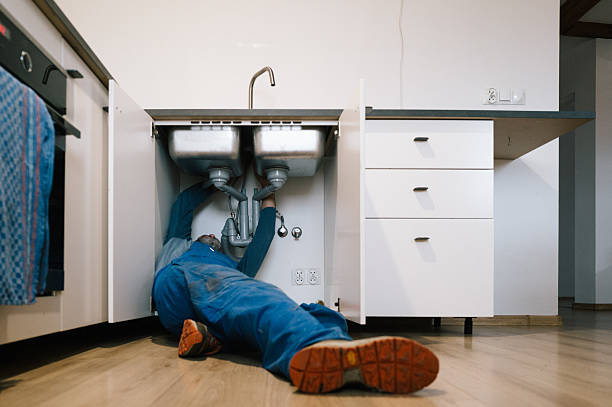 Professional Emergency Plumber technician working in Land O' Lakes, FL